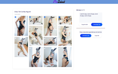 PicSelect - website chia sẻ ảnh đến khách hàng cho studio