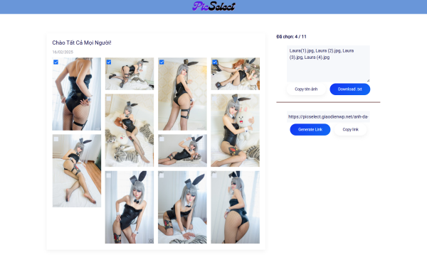 PicSelect - website chia sẻ ảnh đến khách hàng cho studio - Ảnh 4